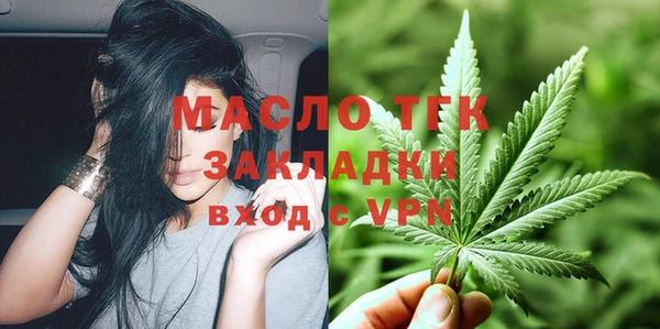 индика Медвежьегорск
