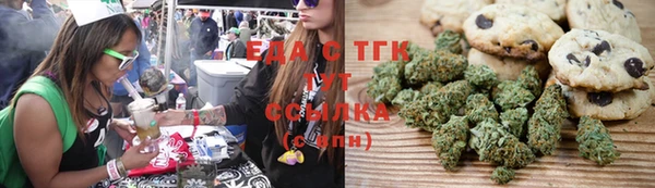 индика Медвежьегорск